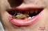 혀끝의 도전 - 귀뚜라미로 만든 과자